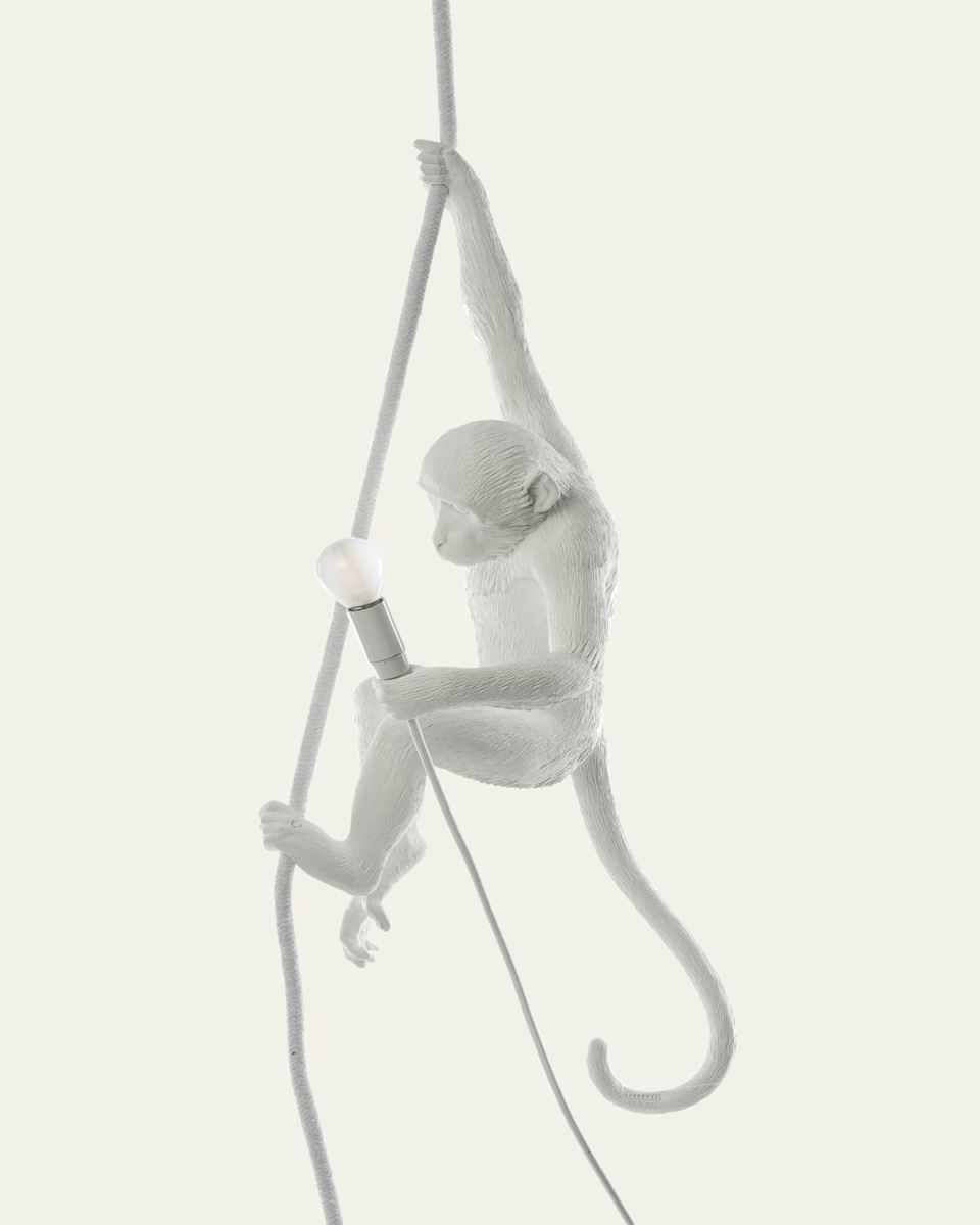 Monkey with Rope Outdoor Hanging Lamp